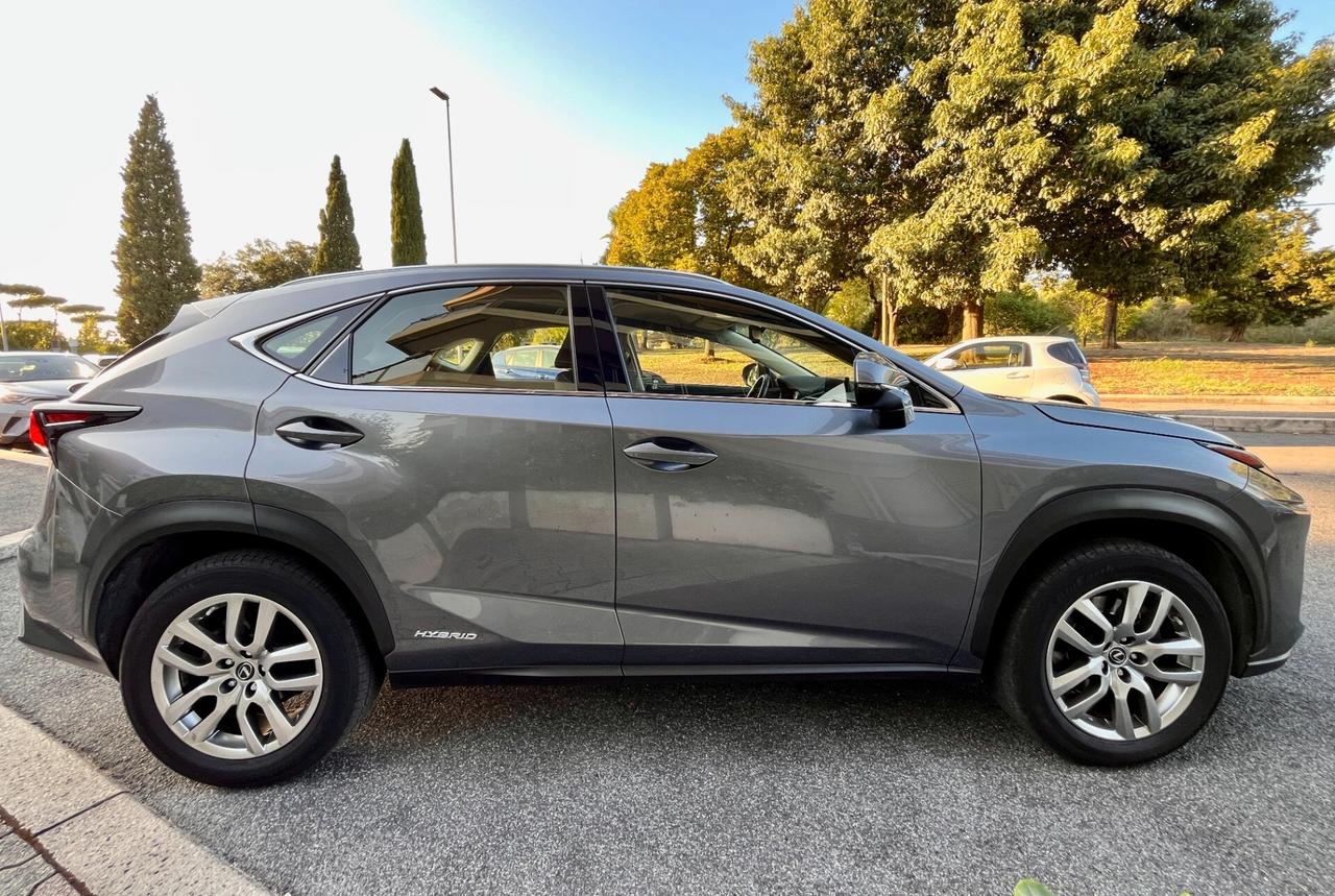 Lexus NX 300h Hybrid 4WD Business