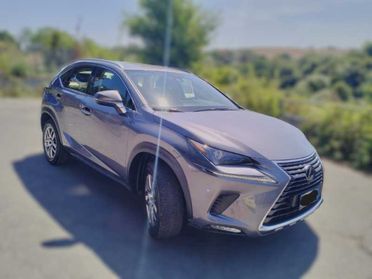 Lexus NX 300h 2.5 Business 2wd cvt