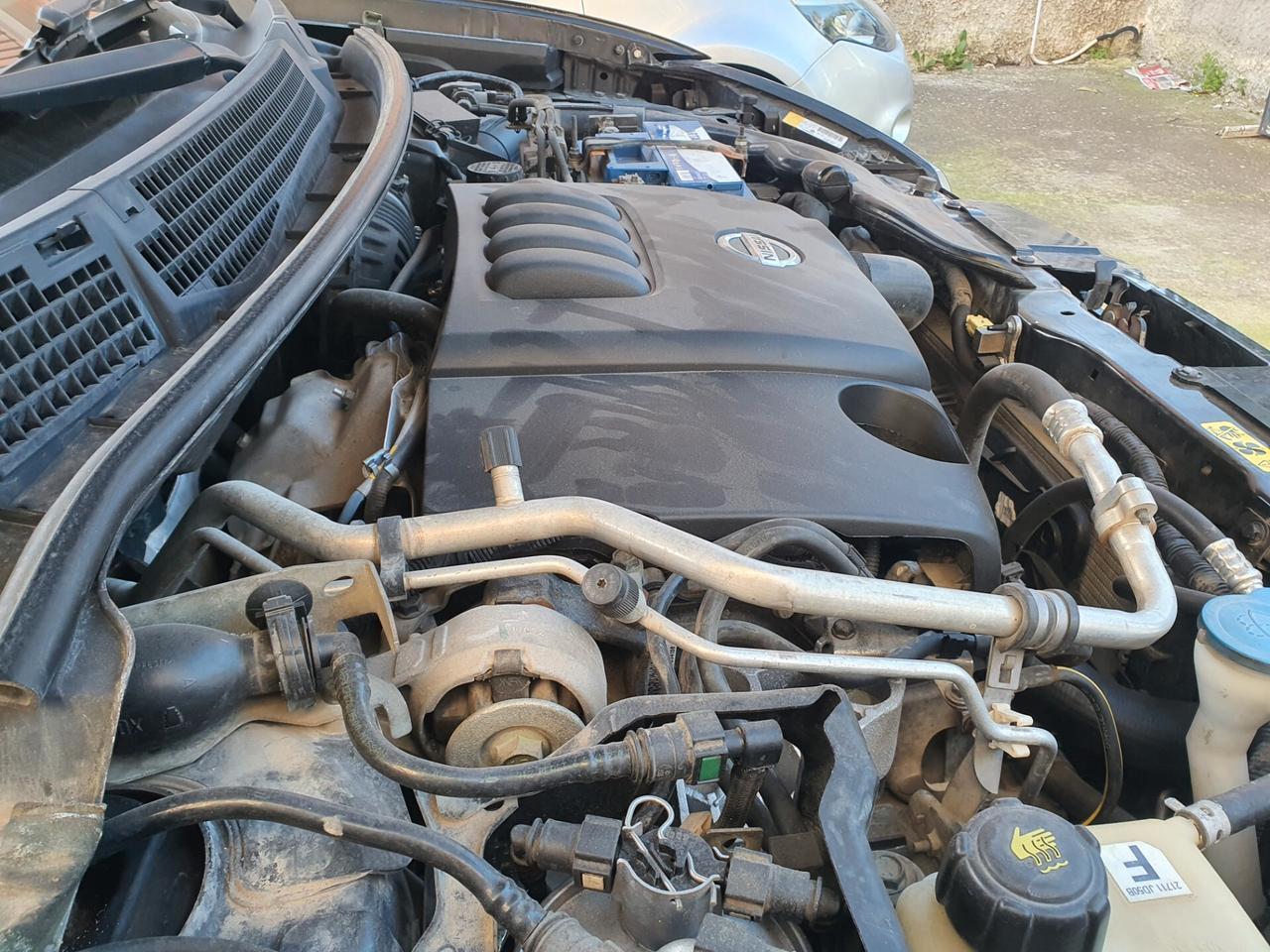 Nissan Qashqai modello Acenta