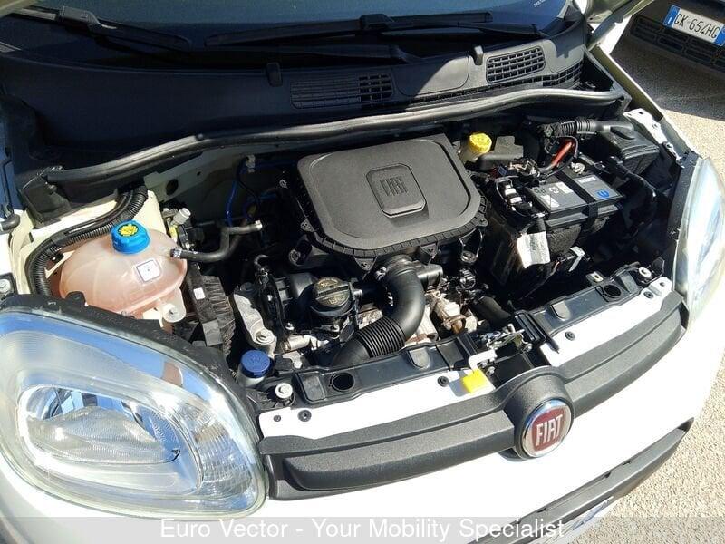FIAT Panda Panda 1.0 FireFly S&S Hybrid Launch Edition