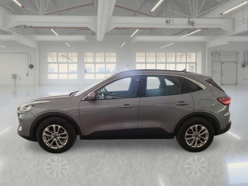 FORD KUGA 1.5 ECOBLUE 120 CV 2WD TITANIUM BUS. AUTO SUV