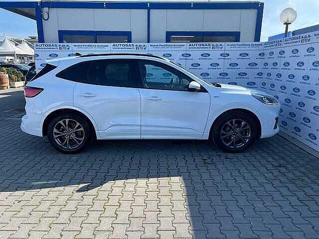 Ford Kuga 1.5 EcoBlue 120 CV 2WD ST-Line