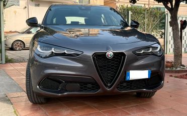 Alfa Romeo Stelvio NEW 2.2 TD 160 CV AT8 RWD Sprint