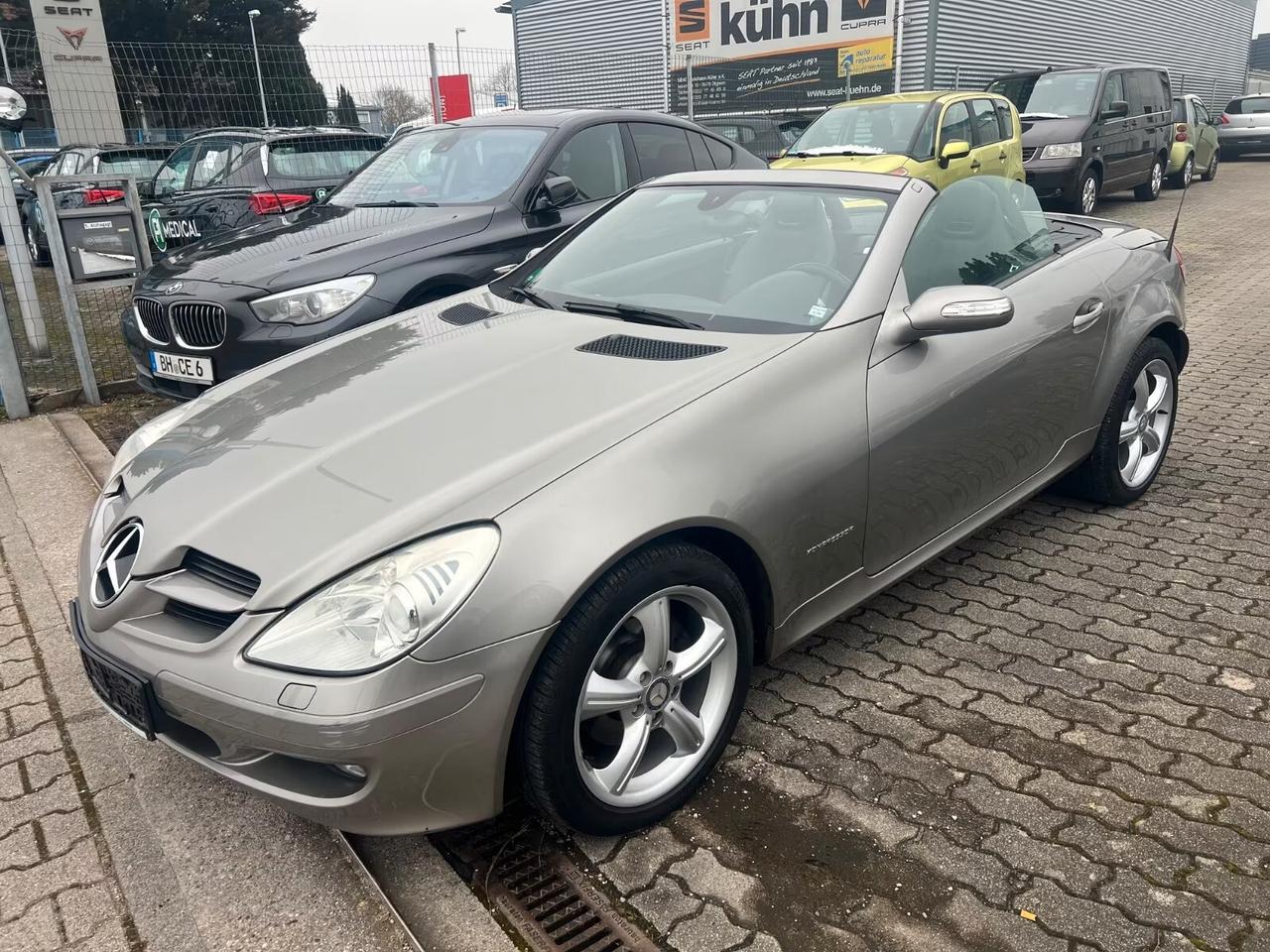 Mercedes-benz SLK 200 Kompressor Pelle-Xeno