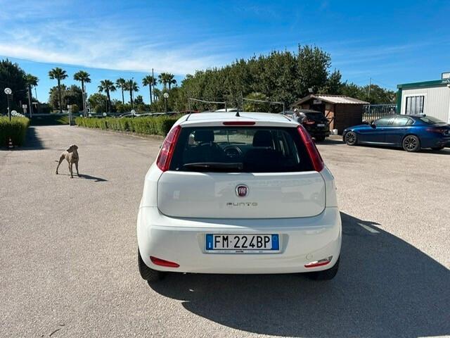 Fiat Punto 1.3 MJT 95CV S&S 5 porte Van 4 posti N1