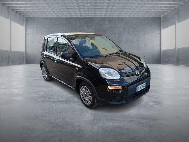 FIAT Panda 3ª serie 1.0 FireFly S&S Hybrid