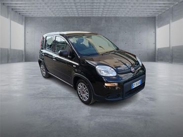 FIAT Panda 3ª serie 1.0 FireFly S&S Hybrid