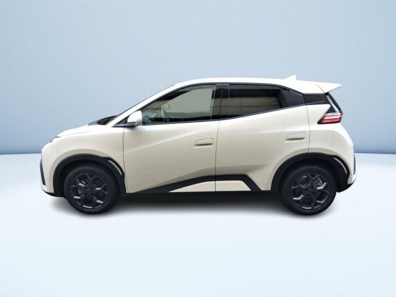 BYD Dolphin Surf Comfort