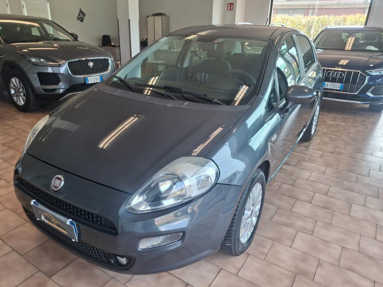Fiat Punto 5p 1.3 mjt 16v Street*neopatentati