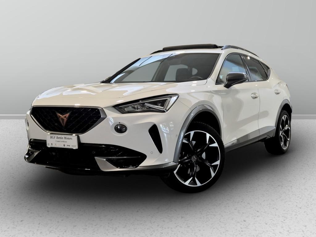 Cupra Formentor 2.0 tdi