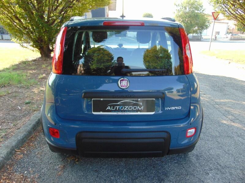 FIAT Panda 3ª serie Panda 1.0 FireFly S&S Hybr...