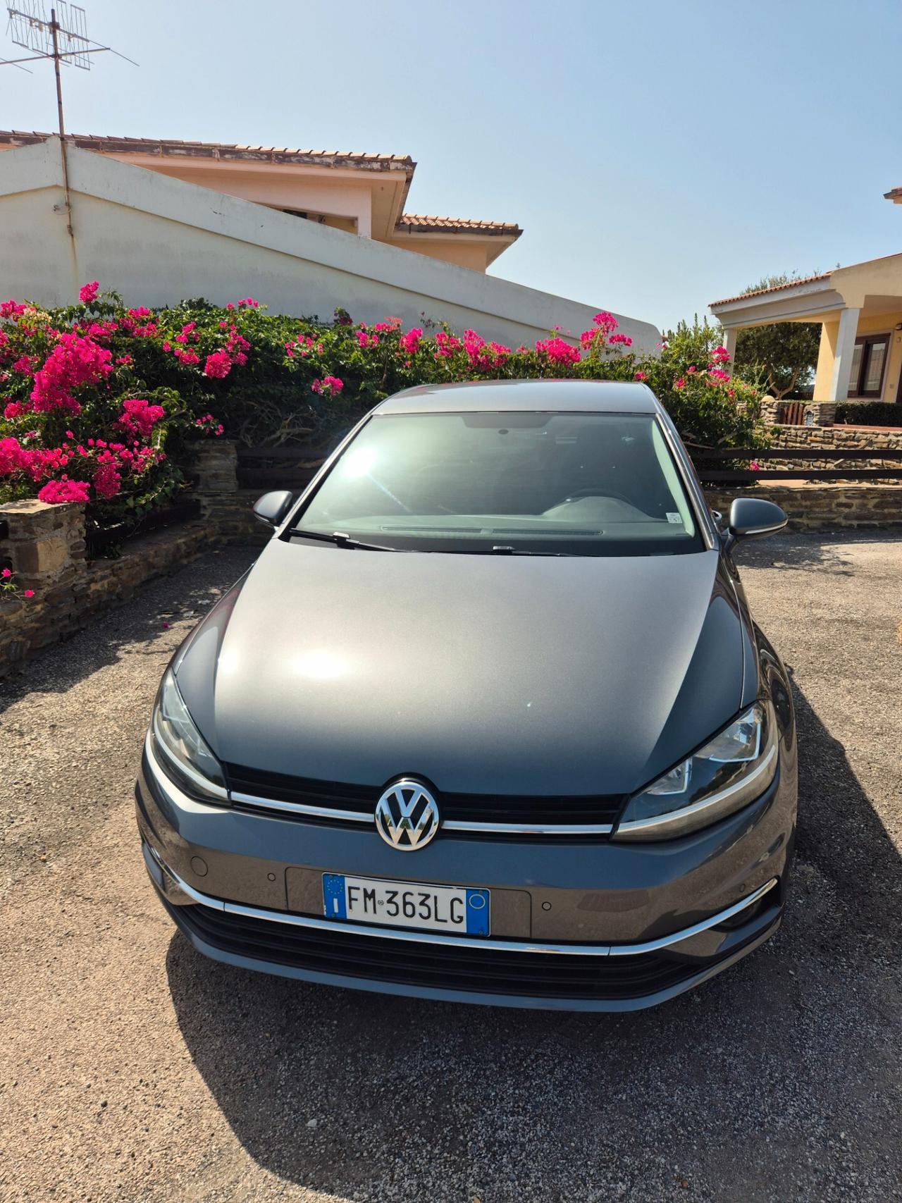 Volkswagen Golf 1.6 TDI 115 CV 5p. Business BlueMotion Technology