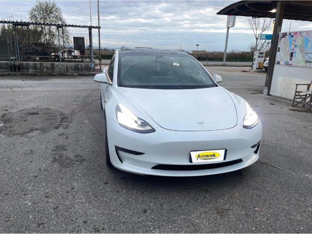 TESLA Model 3 Standard RWD Plus