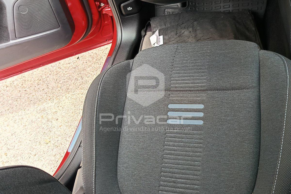 FORD Focus 1.5 EcoBlue 115 CV automatico 5p. Active X