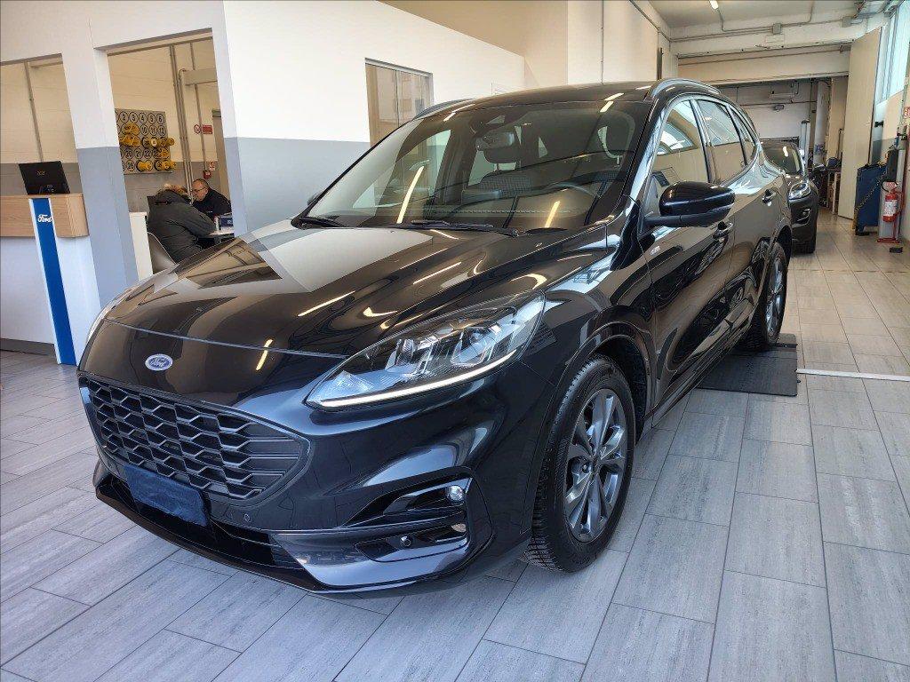 FORD Kuga 2.0 ecoblue ST-Line 2wd 120cv auto del 2024