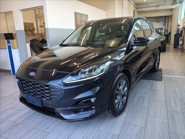 FORD Kuga 2.0 ecoblue ST-Line 2wd 120cv auto del 2024