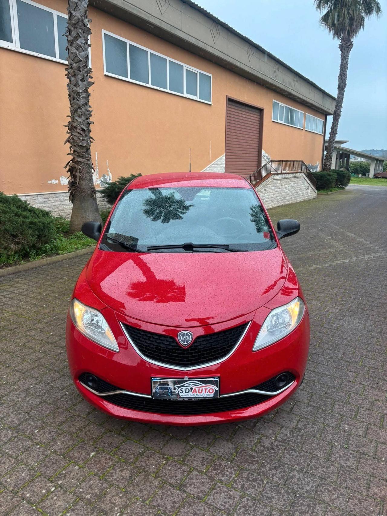 Lancia Ypsilon 1.3 MJT 16V 95 CV 5 porte S&S Platinum
