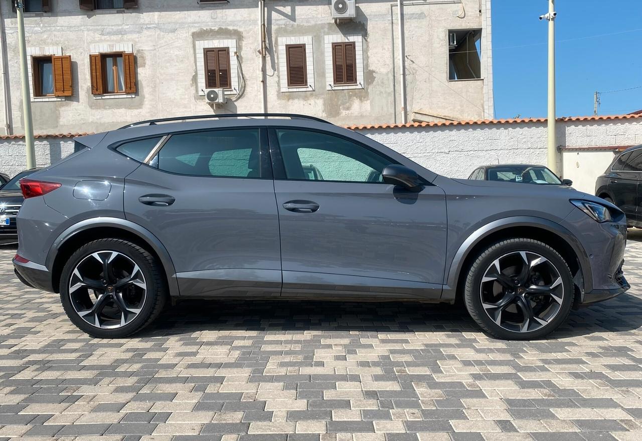 Cupra Formentor 2.0 TDI 150CV DSG 4Drive
