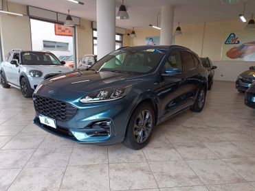 Ford Kuga 1.5 EcoBlue 120 CV aut. 2WD ST-Line