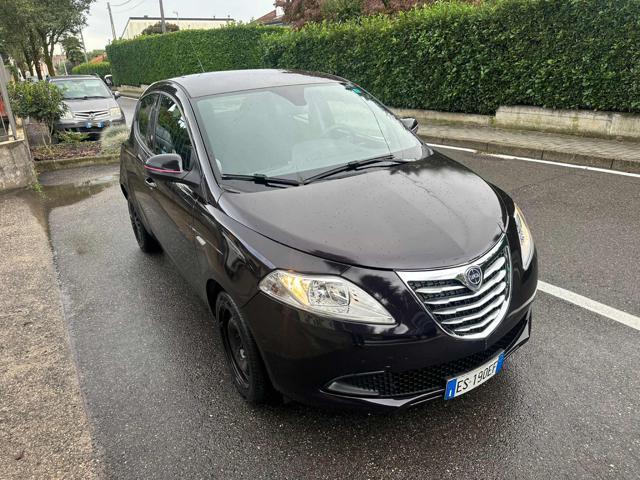 LANCIA Ypsilon 1.2 69 CV 5 porte Platinum