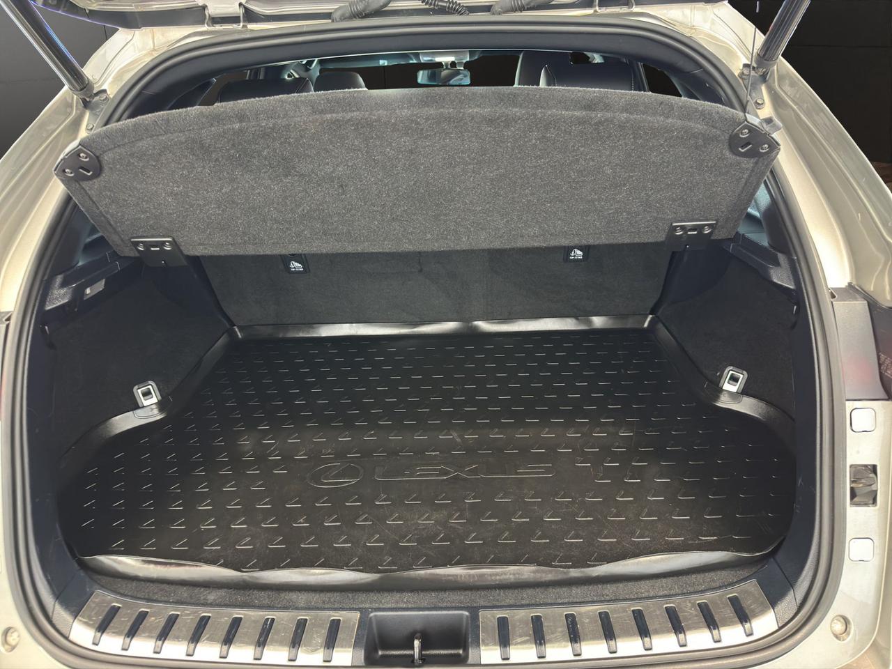 Lexus NX 300h 2.5 F-Sport 4wd cvt