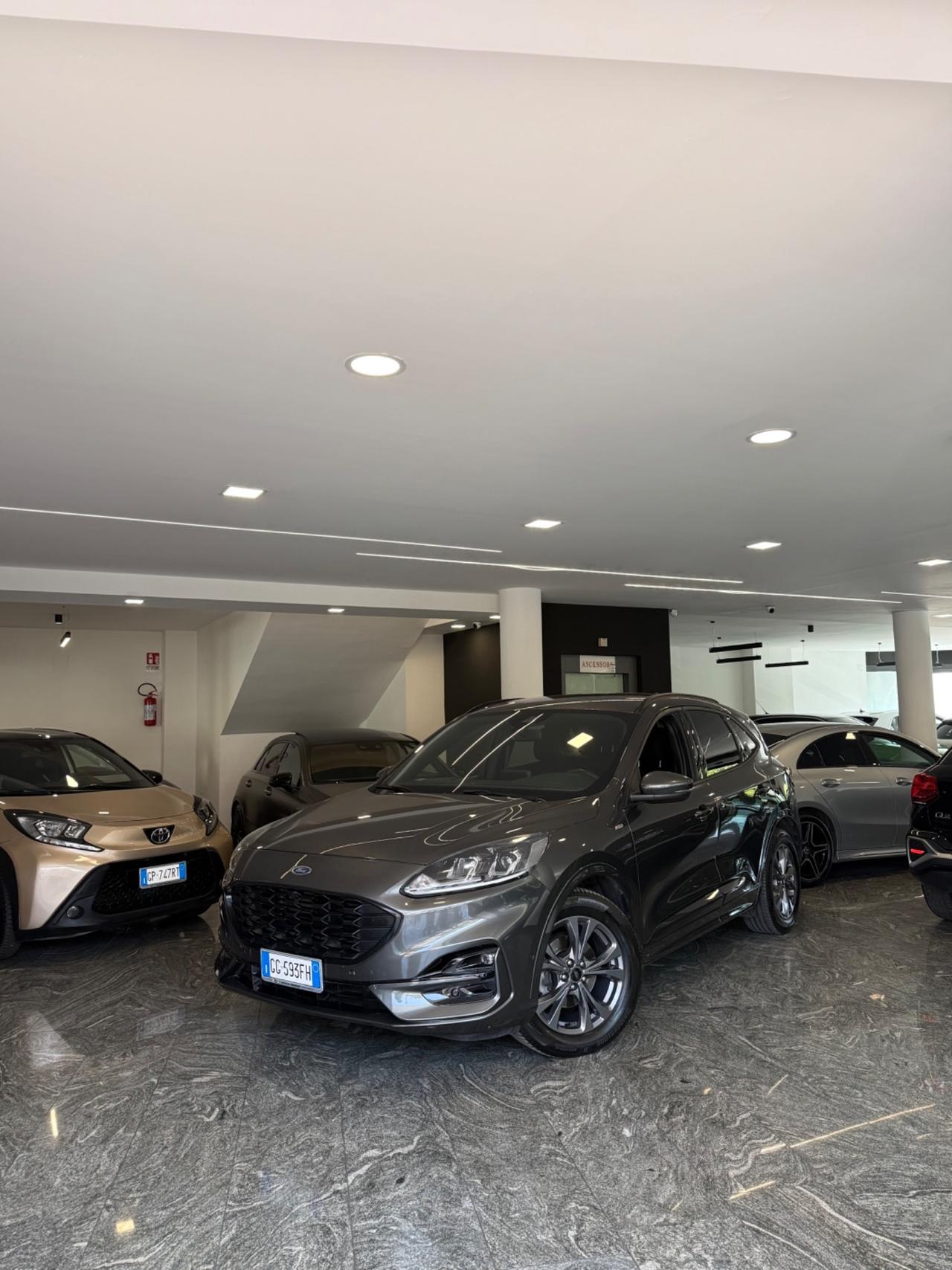 Ford Kuga 2.0 EcoBlue Hybrid 150 CV 2WD ST-Line