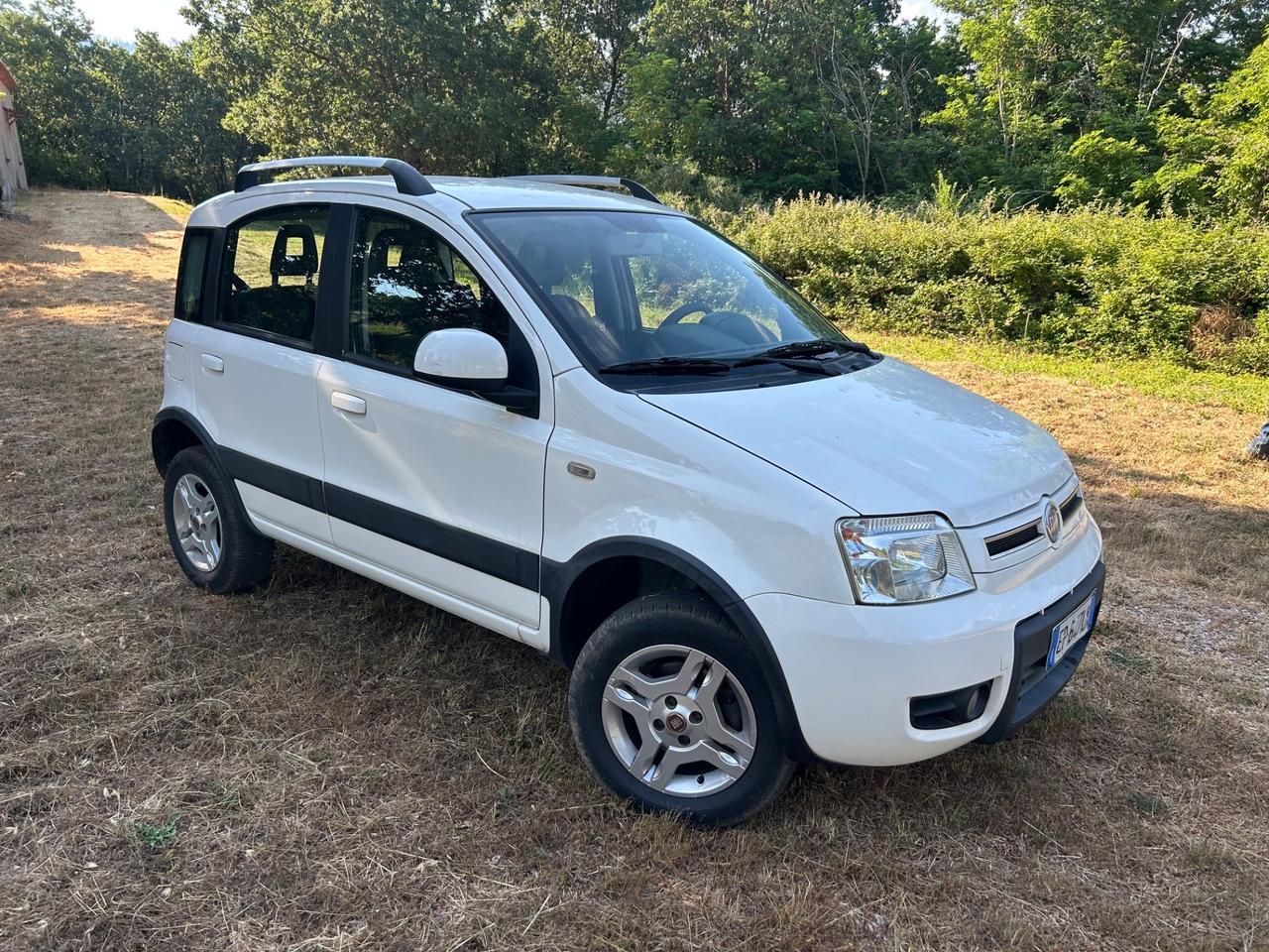 Fiat Panda 1.3 MJT 16V DPF 4x4 Climbing