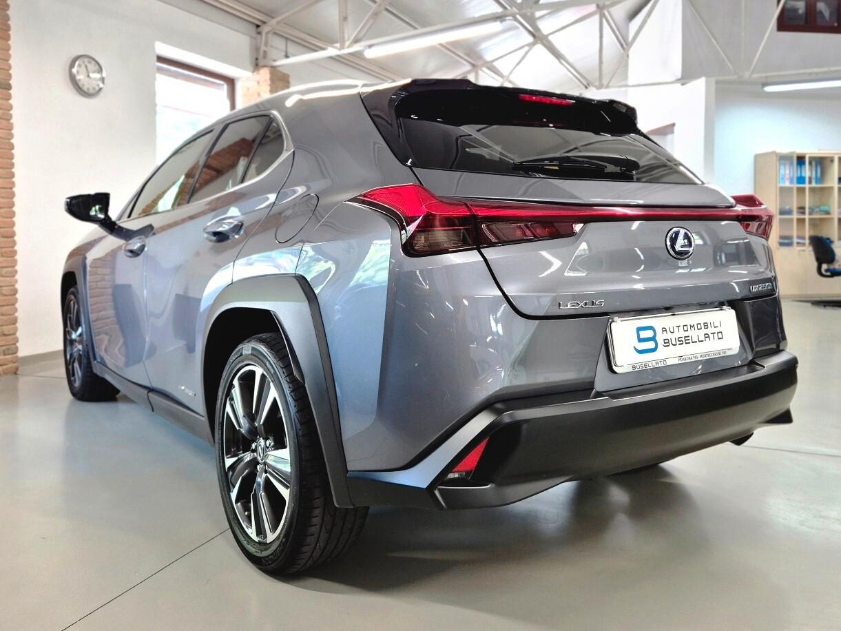 Lexus UX Hybrid 4WD Business