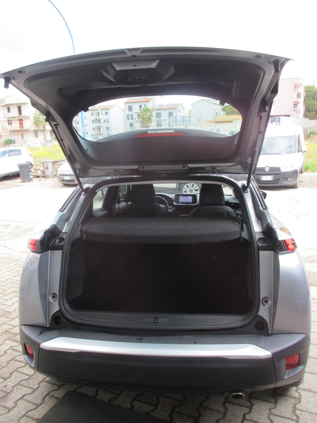 Peugeot 2008 1.5 bluehdi Active 100cv