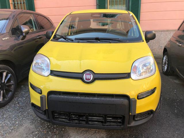 FIAT Panda 1.0 FireFly S&S Hybrid Pandina