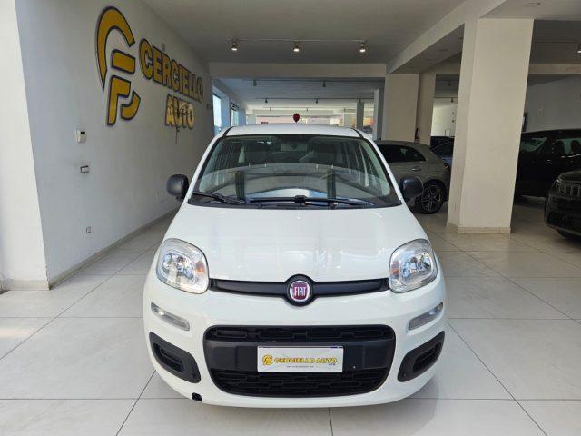 FIAT Panda 1.0 FireFly S&S Hybrid da ?119,00 mensili