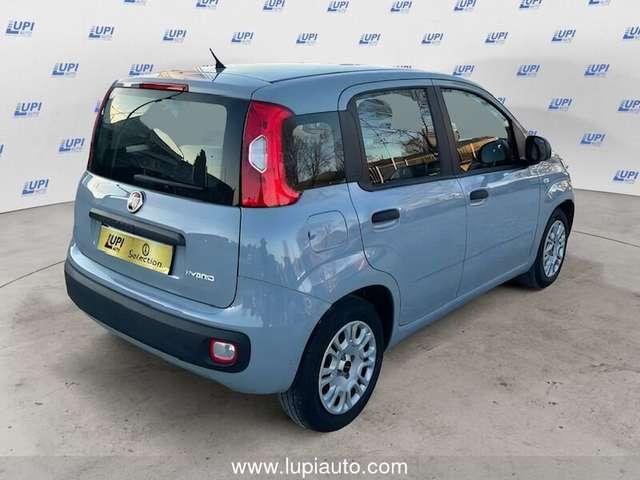 Fiat Panda 1.0 firefly hybrid City Life s&s 70cv