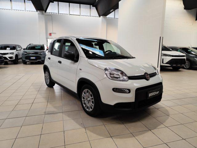 FIAT Panda 1.0 FireFly S&S Hybrid RED