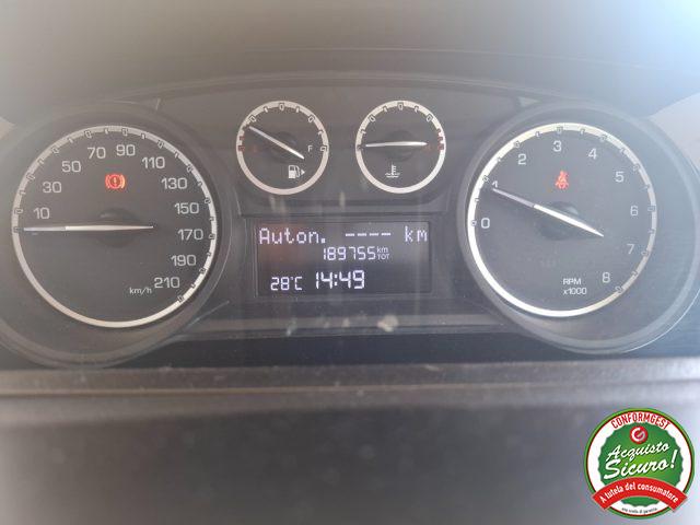 LANCIA Ypsilon 1.2 69 CV 5 porte Elefantino