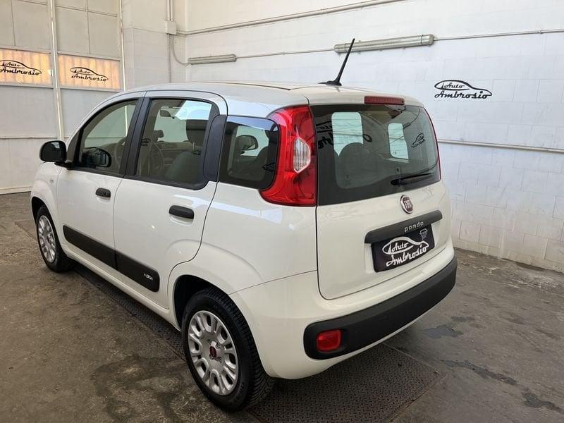 FIAT Panda Panda 1.2 tua da 149,00 al mese