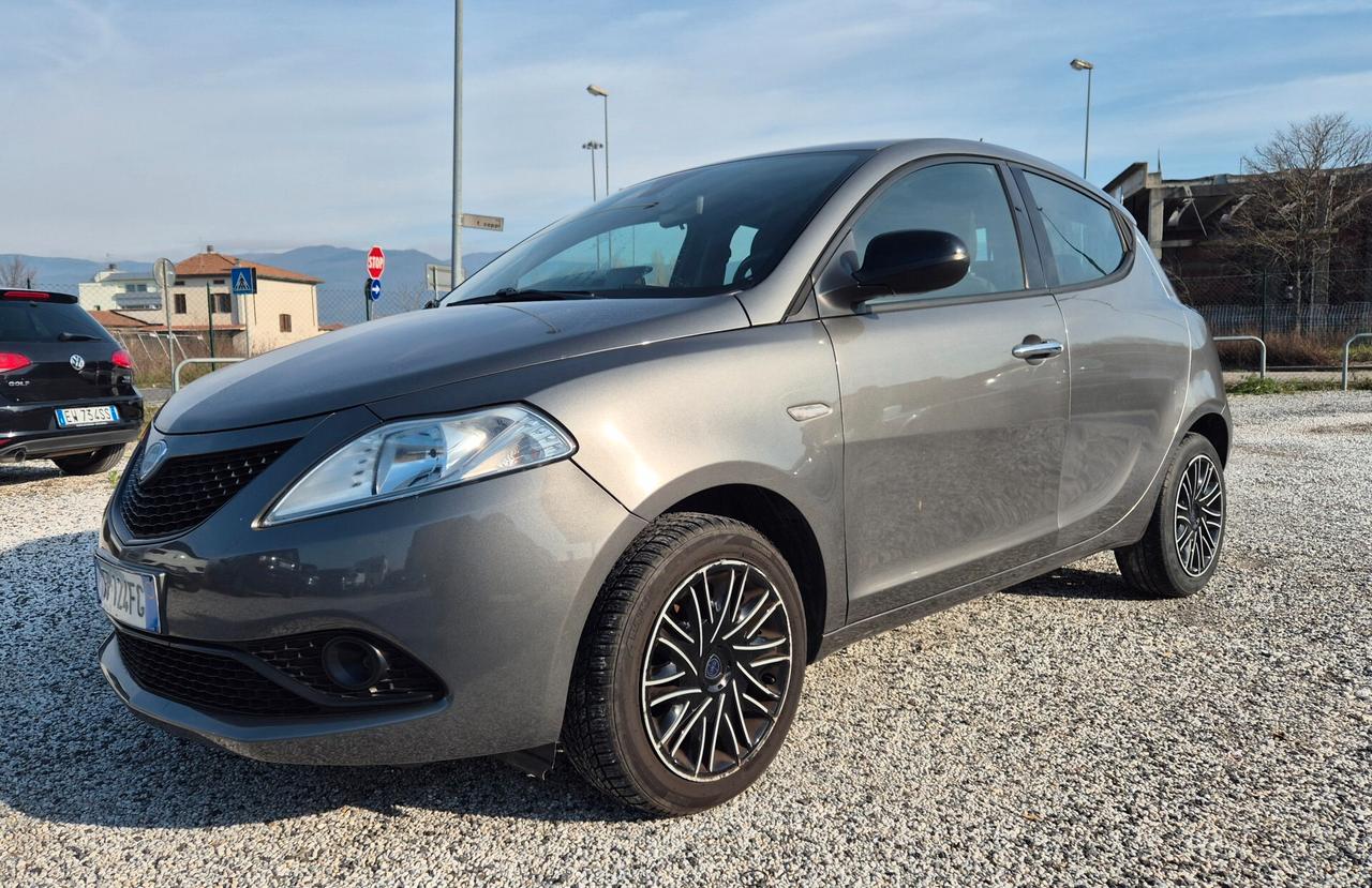 Lancia Ypsilon 1.2 69 CV 5 porte Platinum