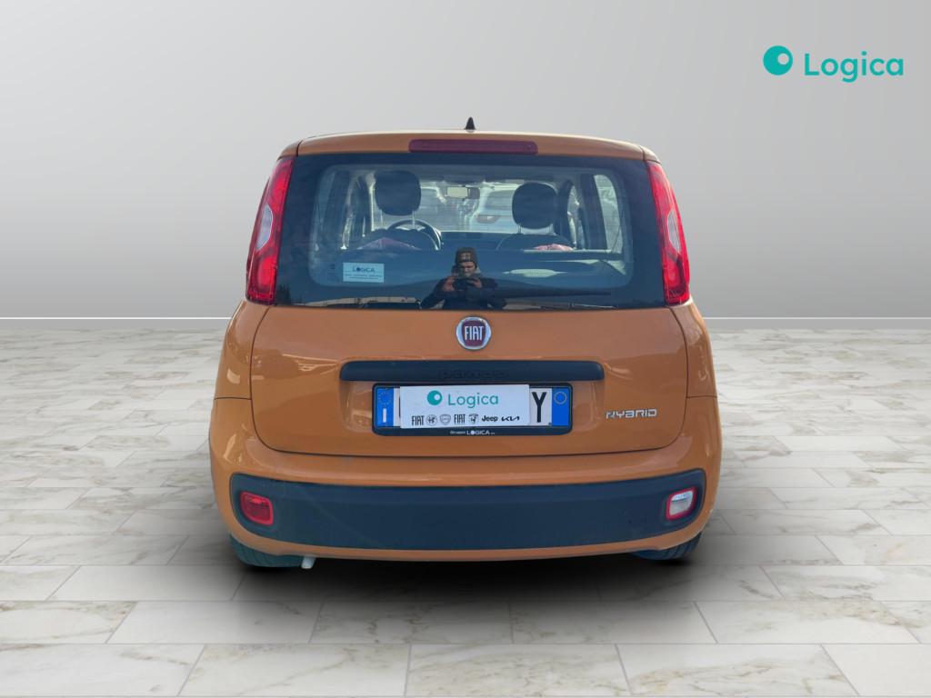 FIAT Panda III 2021 - Panda 1.0 firefly hybrid s&s 70cv