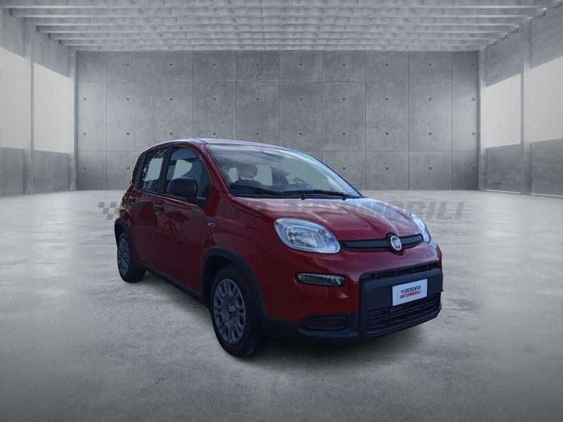 FIAT Panda 1.0 70cv Hybrid Panda