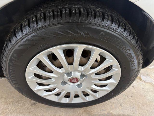 FIAT Punto 1.2 8V 5 porte Street POCHI CHILOMETRI EURO 6