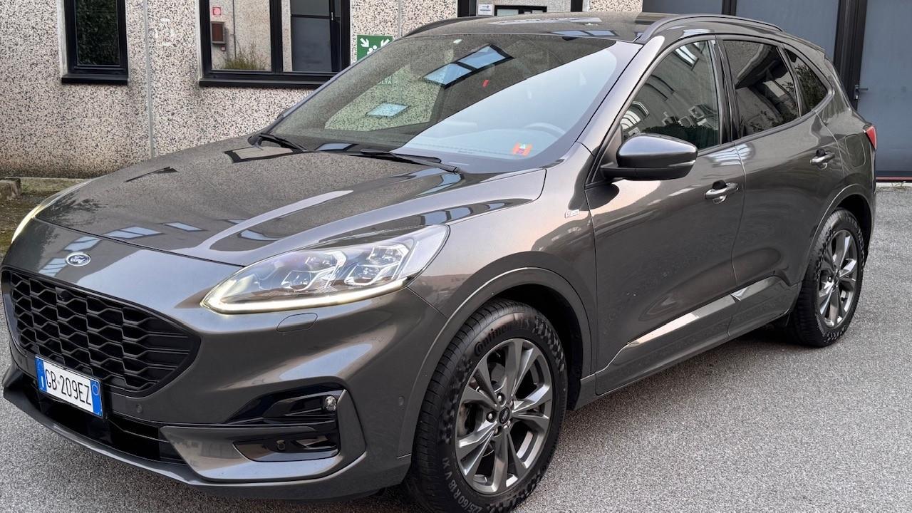 Ford Kuga 2.0 EcoBlue 190 CV aut. AWD ST-Line X
