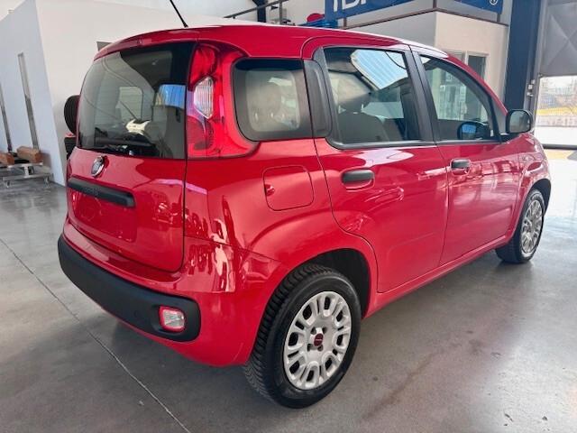 Fiat Panda 1.2 1.2 BENZINA, CLIMA,PERMUTABILE