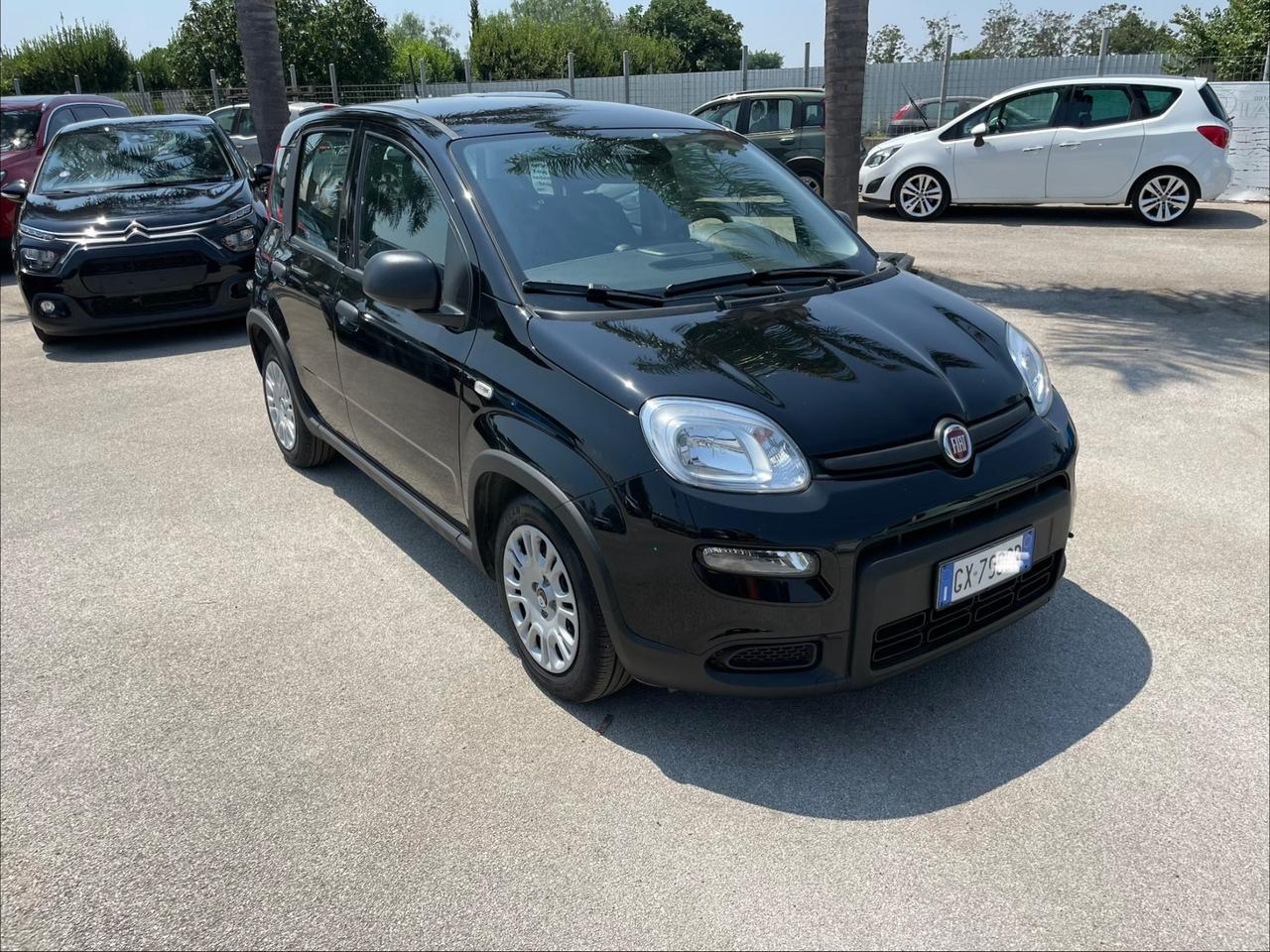 Fiat Pandina a*f*f*a*r*e