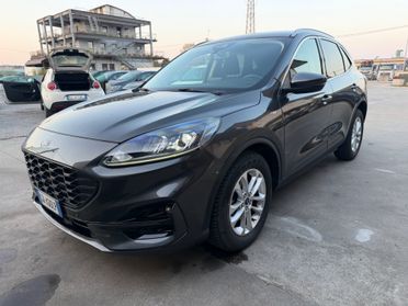 Ford Kuga 2.0 EcoBlue Hybrid 150 CV 2WD ST-Line