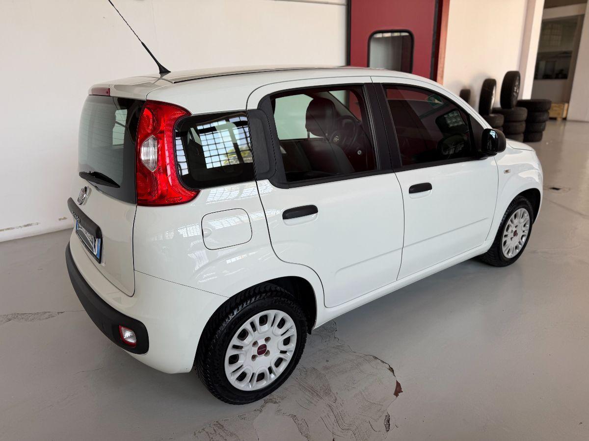 FIAT - Panda - 1.2 Lounge