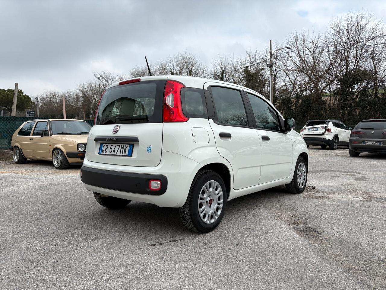 Fiat Panda 1.2 Easy UNICOPROPRIETARIO