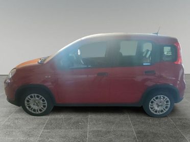 FIAT Panda NEW 1.0 70cv Hybrid Panda