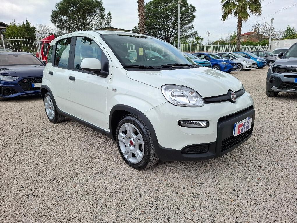 FIAT PANDA 1.0 FIREFLY 70CV CITY LIFE HYBRID-2024