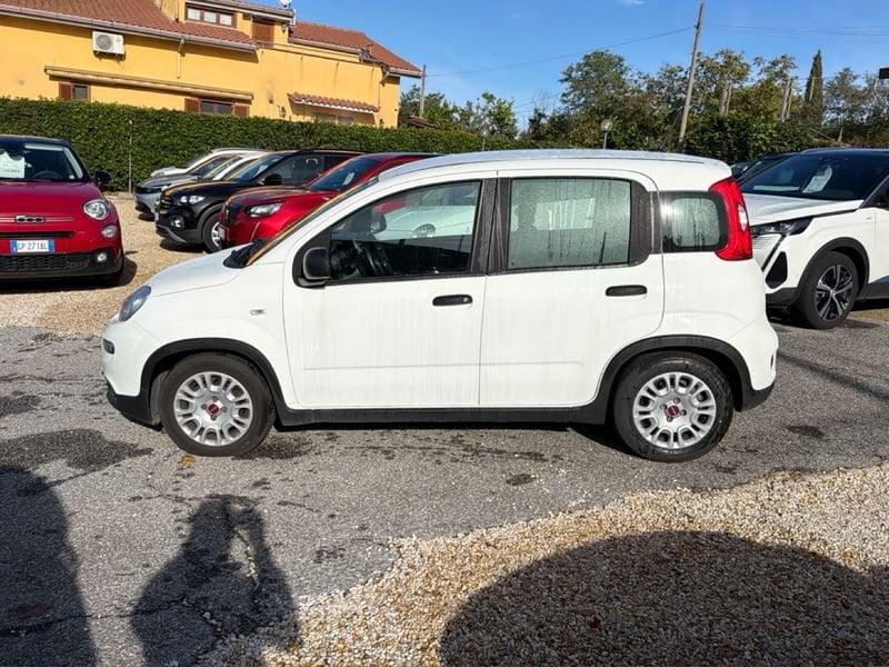 FIAT Panda Panda 1.0 firefly hybrid s&s 70cv 5p.ti