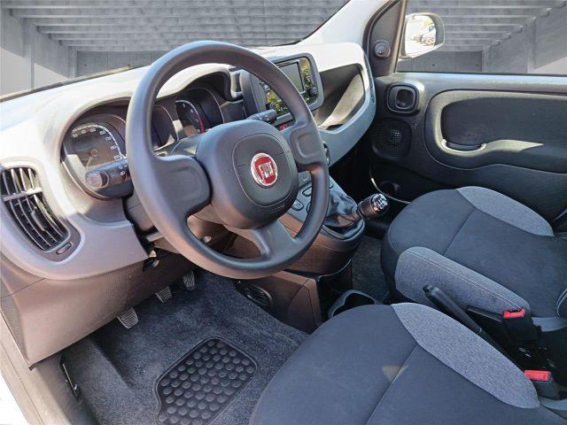 FIAT Panda 3ª serie 1.0 FireFly S&S Hybrid City Life