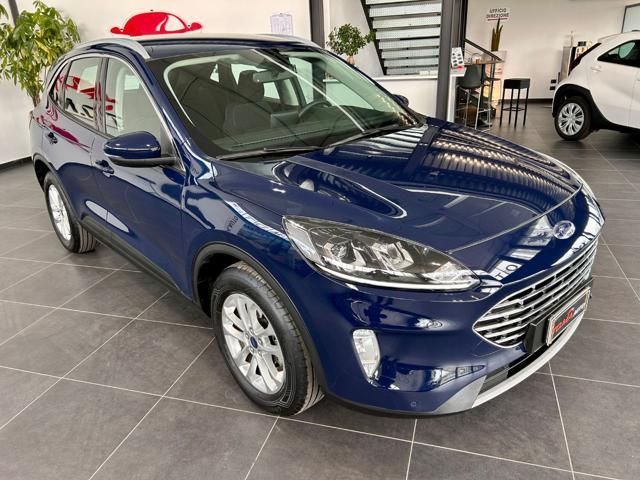 FORD Kuga 1.5 EcoBlue 120 CV 2WD Titanium Business